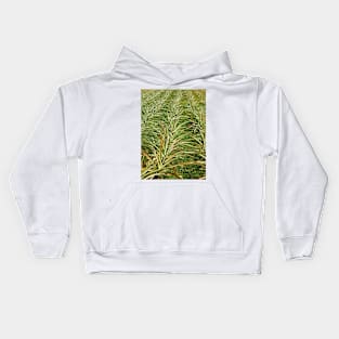 Tropical Plantation Maui Study 12 Kids Hoodie